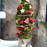 Choinka świąteczna - Kwiaciarnia Lublin