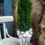 Choinka świąteczna - Kwiaciarnia Lublin