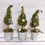 Choinki świąteczne - Kwiaciarnia Lublin